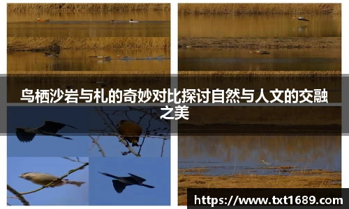 bg大游平台